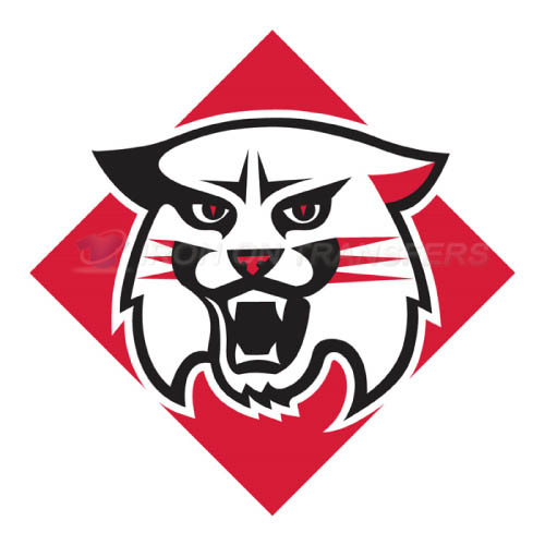 Davidson Wildcats Iron-on Stickers (Heat Transfers)NO.4220